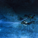 Illustration for article titled This Diver Is Cradling a 12,000-Year-Old Skull in an Underwater Cave